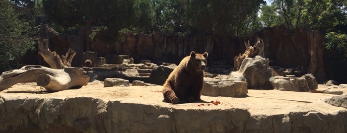 Zoo Aquarium de Madrid is one of Julia : понравившиеся места.