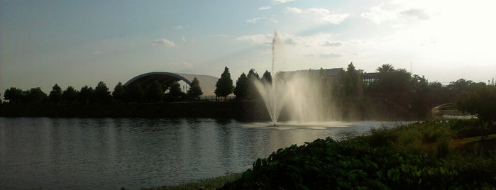 Mueller Lake Park is one of สถานที่ที่บันทึกไว้ของ Thomas.