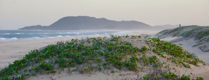 iSimangaliso Wetland Park is one of Posti che sono piaciuti a Alix.