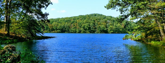 Yellowwood State Forest is one of Rew : понравившиеся места.