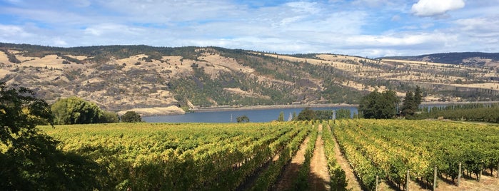 Garnier vineyards is one of Lieux qui ont plu à Enrique.