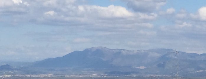 Il Belvedere is one of Dove mangiare all’aperto ai Castelli Romani.