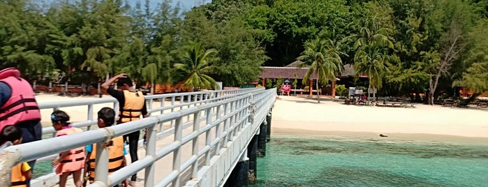 Pusat Taman Laut Pulau Redang is one of สถานที่ที่ IG @antskong ถูกใจ.