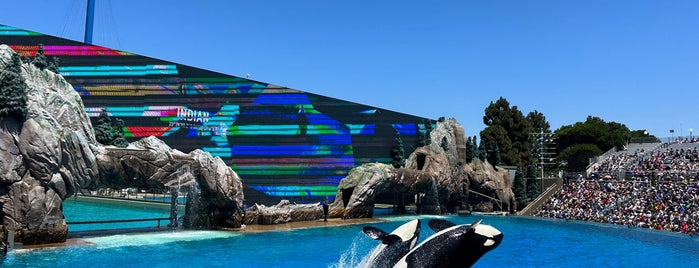 Orca Encounter is one of Moheetさんのお気に入りスポット.