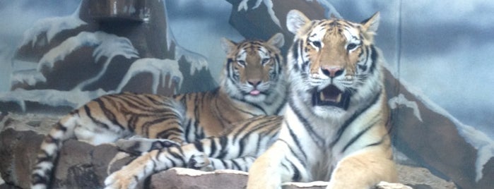Potter Park Zoo is one of Family Fun Places to Visit.