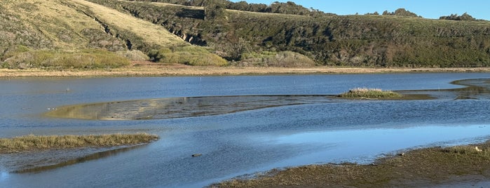 Pescadero Marsh Nature Preserve is one of HWY1: SF to Davenport.