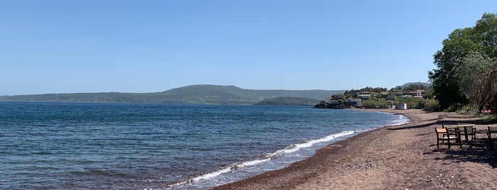 Tsonia Beach is one of Linaさんのお気に入りスポット.