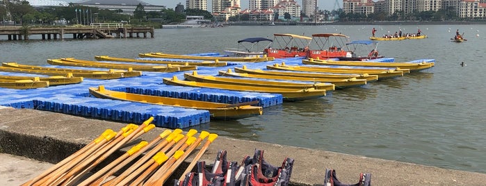 Singapore Dragon Boat Association is one of Places the Moo Moos frequent.