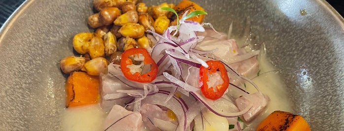 Callao Cevicheria is one of Holland.