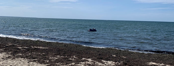 Ptown Sand Dunes is one of Family Activities.