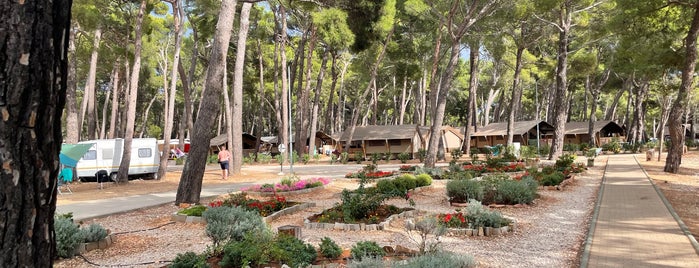 Camping Čikat is one of Losinj.