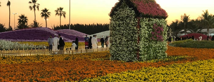Flowers and Garden Festival is one of Yanbu.