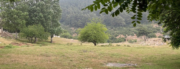 Atik Yaylası is one of Orte, die Fahreddin gefallen.
