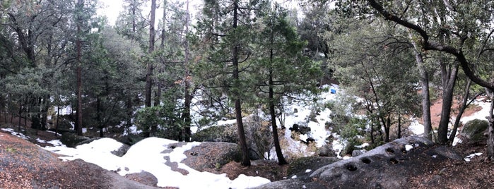 Idyllwild Nature Center is one of ericさんのお気に入りスポット.