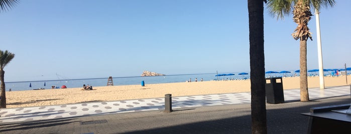 Restaurante la Bahía en Benidorm is one of Benidorm.