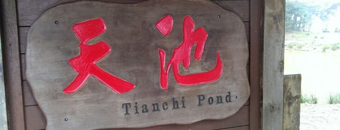 Tianchi is one of 201311 Fushoushan/ Ilan.