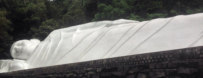 Tacu Buddha Temple is one of Tempat yang Disukai Federico.