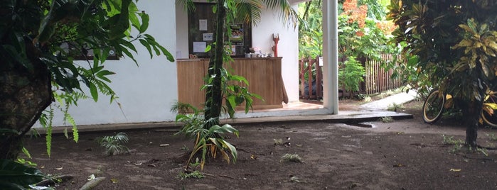 Aracari Garden Hostel is one of Orte, die David gefallen.