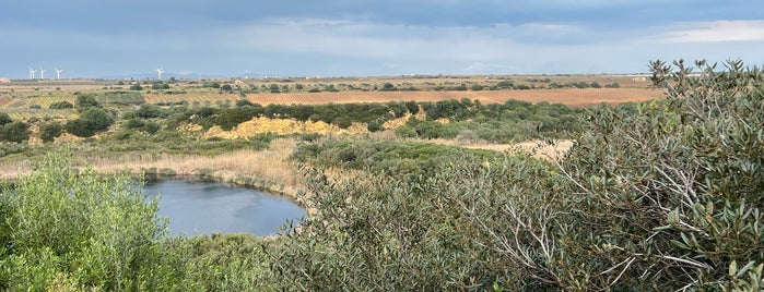 tenuta gorghi tondi is one of Posti visitati.