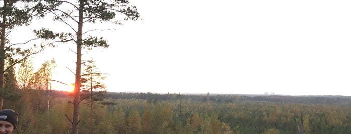 Pääsküla rabaraja vaatlustorn is one of Lovely Tallin.