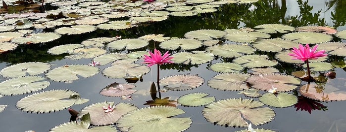 Wei Wu Ying Metropolitan Park is one of 高屏.