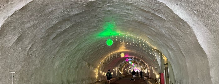 西子灣隧道 is one of KHH.