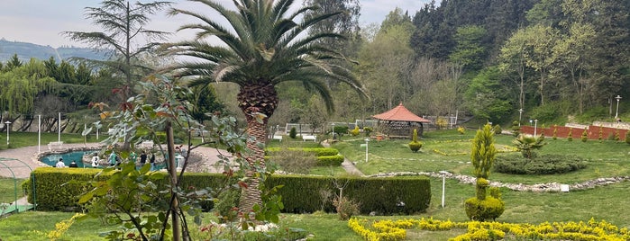 Salar Darreh Café | كافی شاپ هتل سالار دره is one of Mohsen'in Kaydettiği Mekanlar.