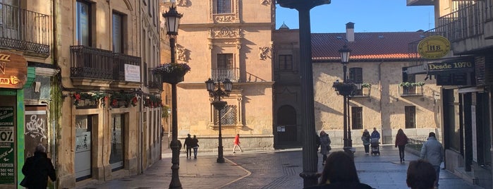 Palacio de Monterrey is one of Salamanca.
