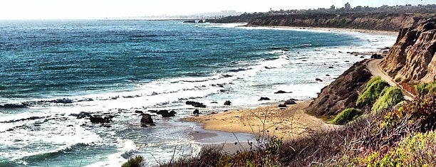 Crystal Cove State Park is one of Best South OC Hikes.