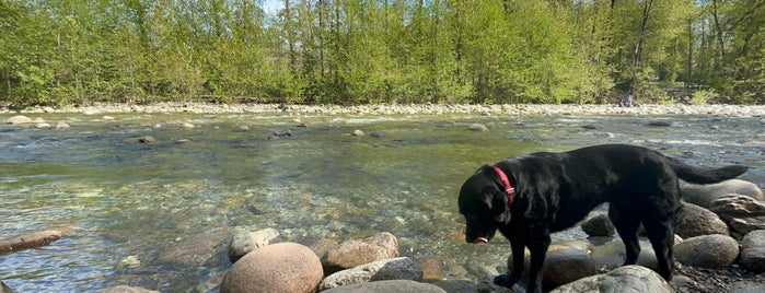 Bridgeman Park is one of Dog Parks in British Columbia.