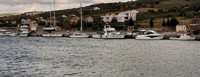 Murefte Liman is one of Tekirdağ.