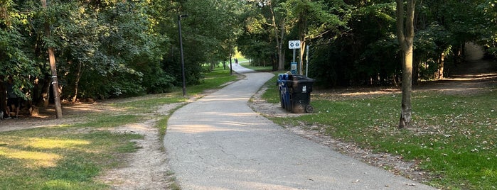 Cedarvale Park is one of places to walk.
