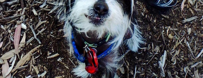 Findon Dog Park is one of Adelaide Dog Parks.