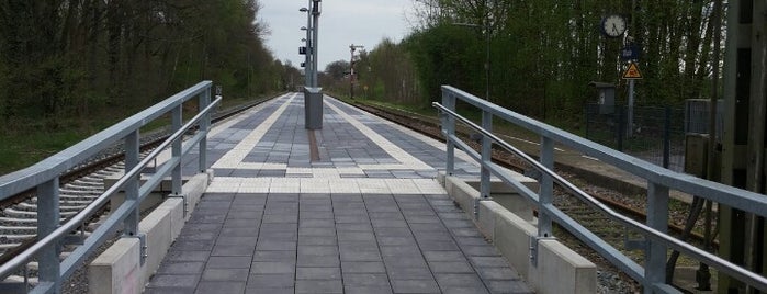 Bahnhof Rhade is one of Bf's in Ostwestfahlen / Osnabrücker u. Münsterland.