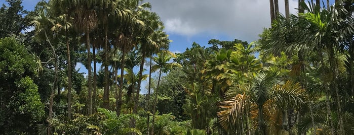 Jardin de Balata is one of Martinique 2021.