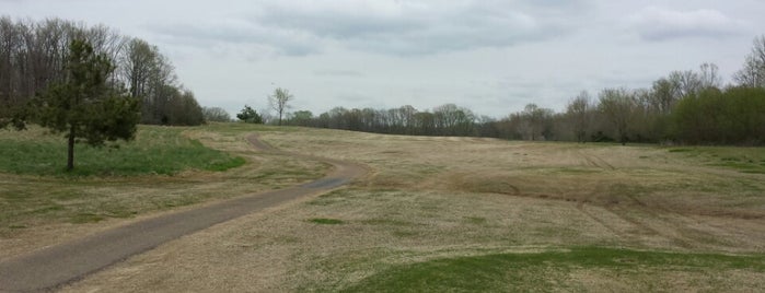 Forest Hills Golf Course is one of Dirty South.