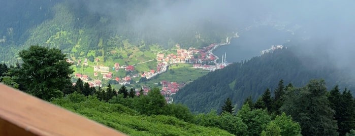 Panorama Kafe is one of Karadeniz.