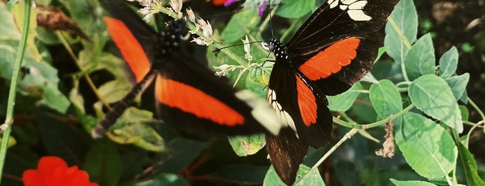 Reserva Natural Atitlán is one of Guatemala.