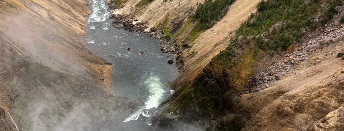 Brink Of Lower Falls is one of Road trip national parks.