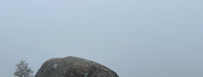 Bubble Rock is one of Exploring Acadia.