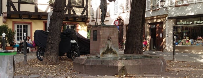 La fontaine du Meiselocker is one of Страсбург.