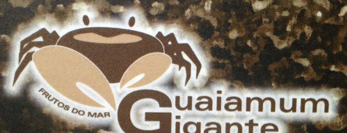 Guaiamum Gigante is one of Fui e recomendo.