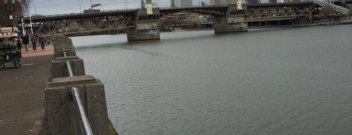 Gov. Tom McCall Waterfront Park is one of Portlandia.