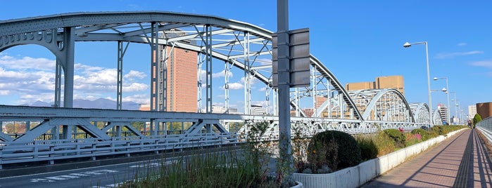 Gunma-Ōhashi Bridge is one of TONEGAWA.