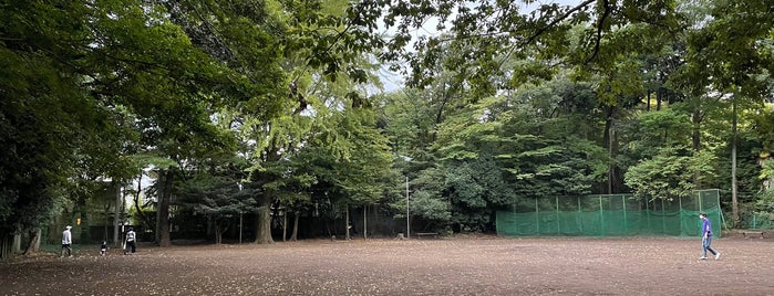 三楽の森 is one of 公園.