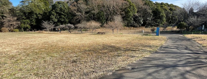 高井城址公園 is one of お城.