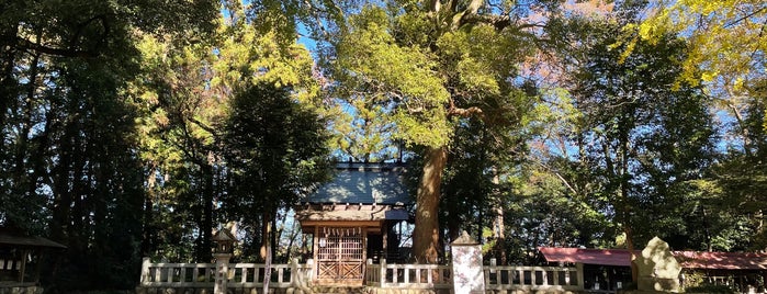 吉見神社 is one of 神社_埼玉.