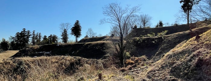 Sugiyama Castle Ruins is one of 城 (武蔵).
