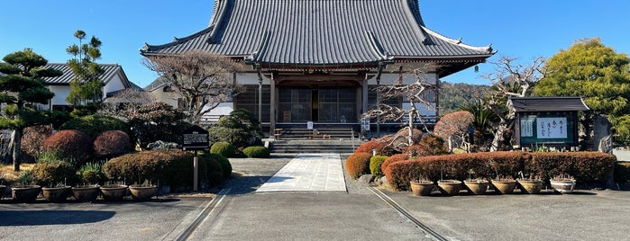 成福寺 is one of 鎌倉殿.