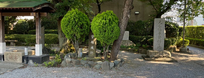 Site of Nakasone Castle is one of 城 (武蔵).
